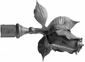 Роза			